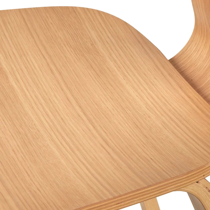 Chaises de salle à manger scandinaves (lot de 2)